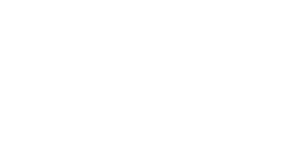 WHITE LOGO VERKOI TRANSPARENT